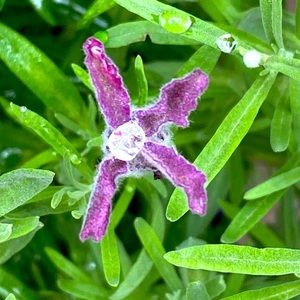 Meet your Posher, Jean